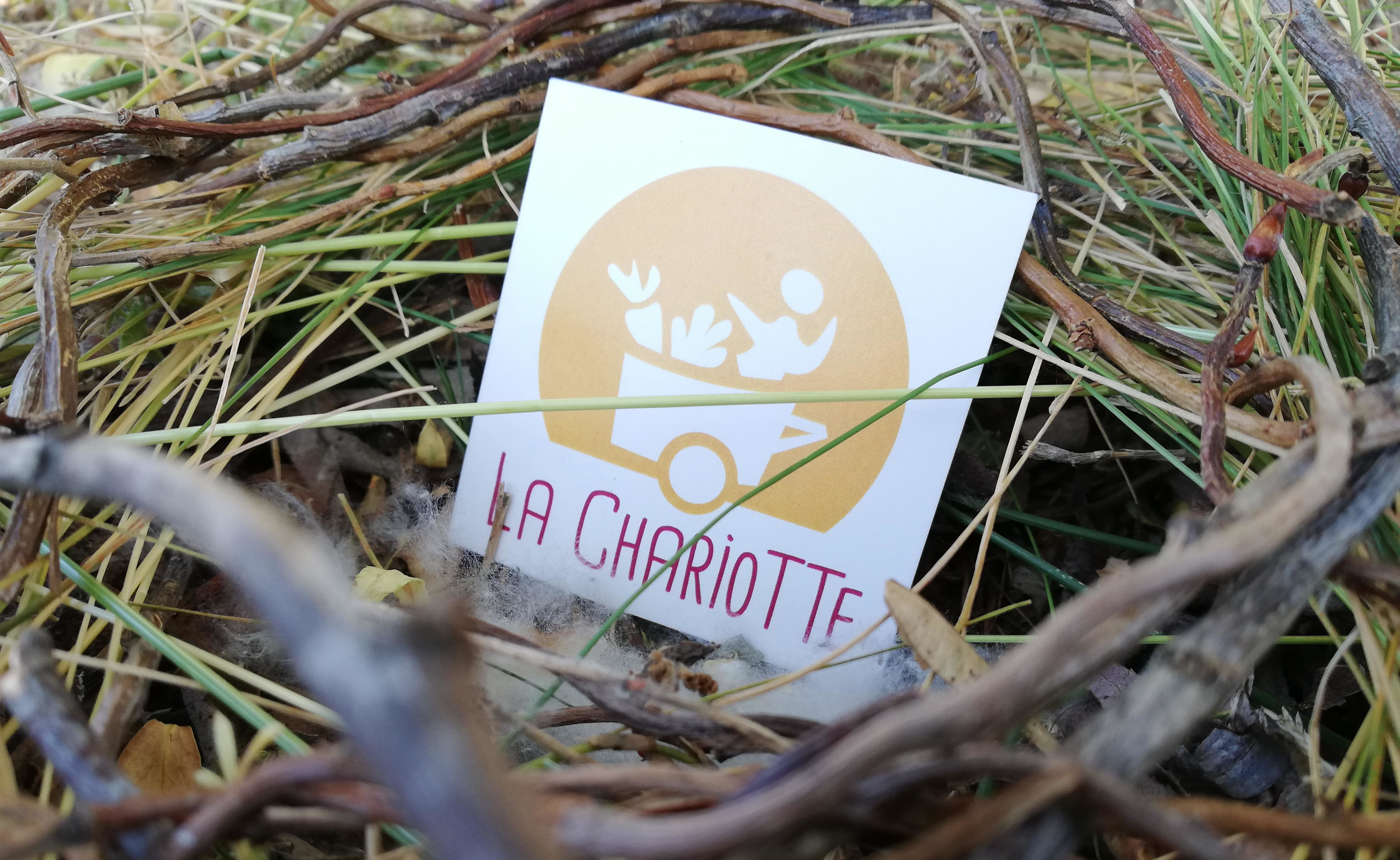 La Chariotte sort de son nid